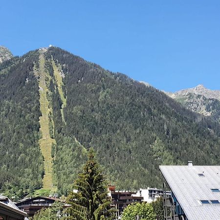 Nice 32M With Balcony View On The Mountain Chamonix Zewnętrze zdjęcie