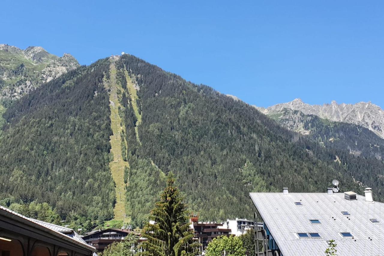 Nice 32M With Balcony View On The Mountain Chamonix Zewnętrze zdjęcie